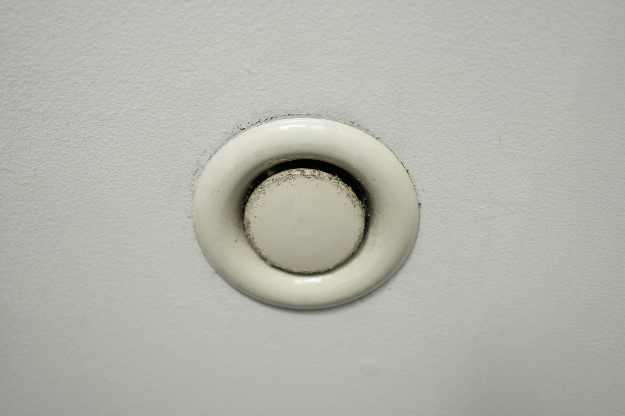 DSC01850
